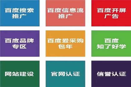 成功SEM服务案例：优化广告投放